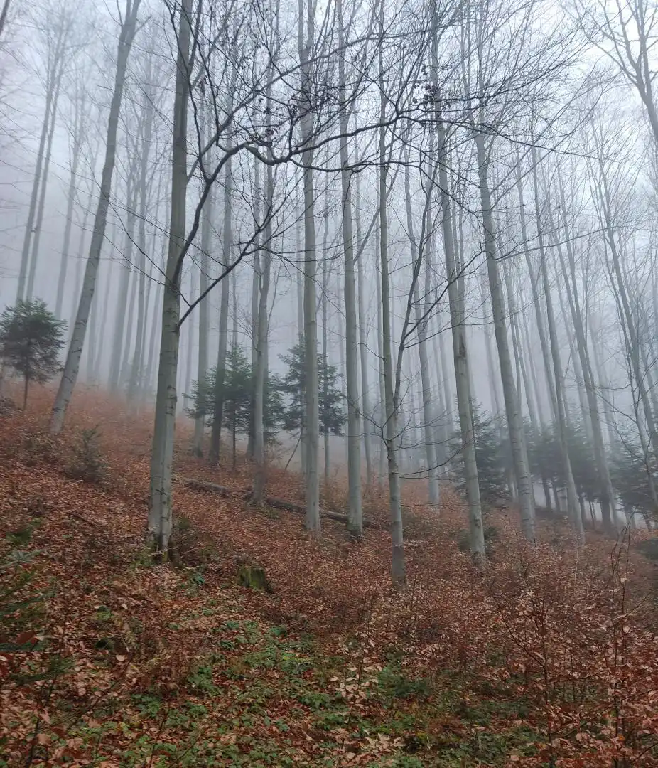 Park Krajobrazowy "Ostoja Głuszca" w Przysietnicy