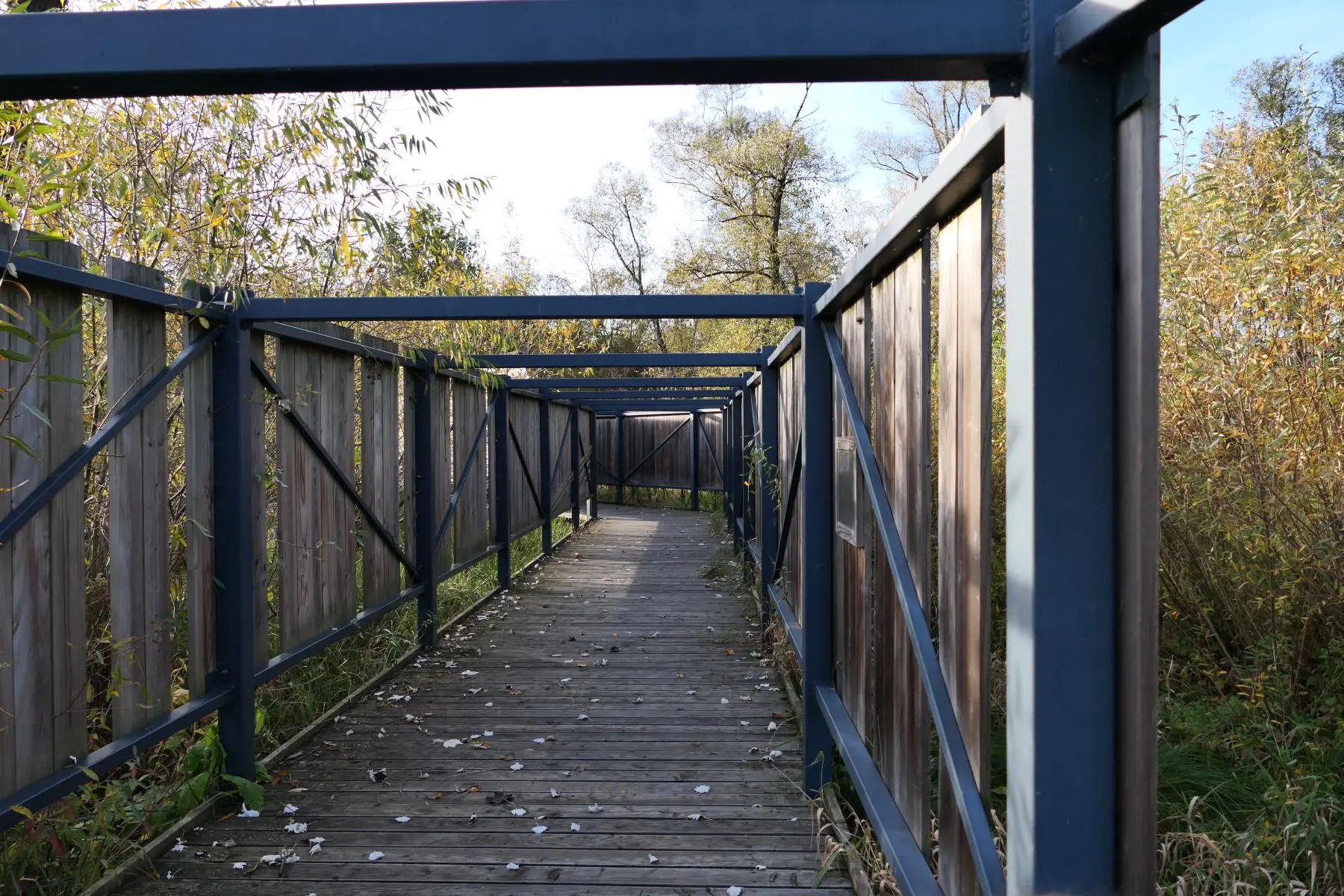 Enklawa Przyrodnicza Bobrowisko