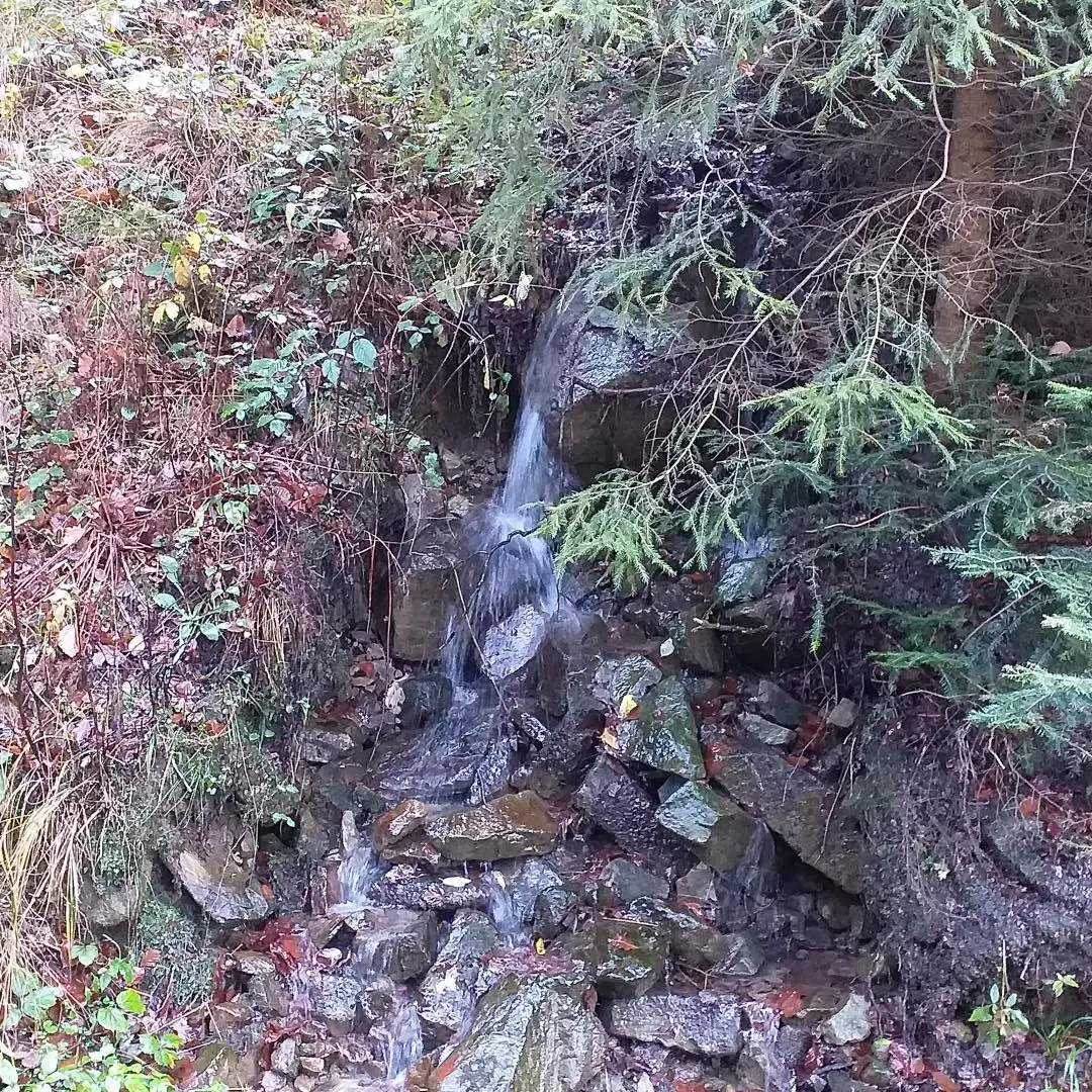 Park Krajobrazowy "Ostoja Głuszca" w Przysietnicy