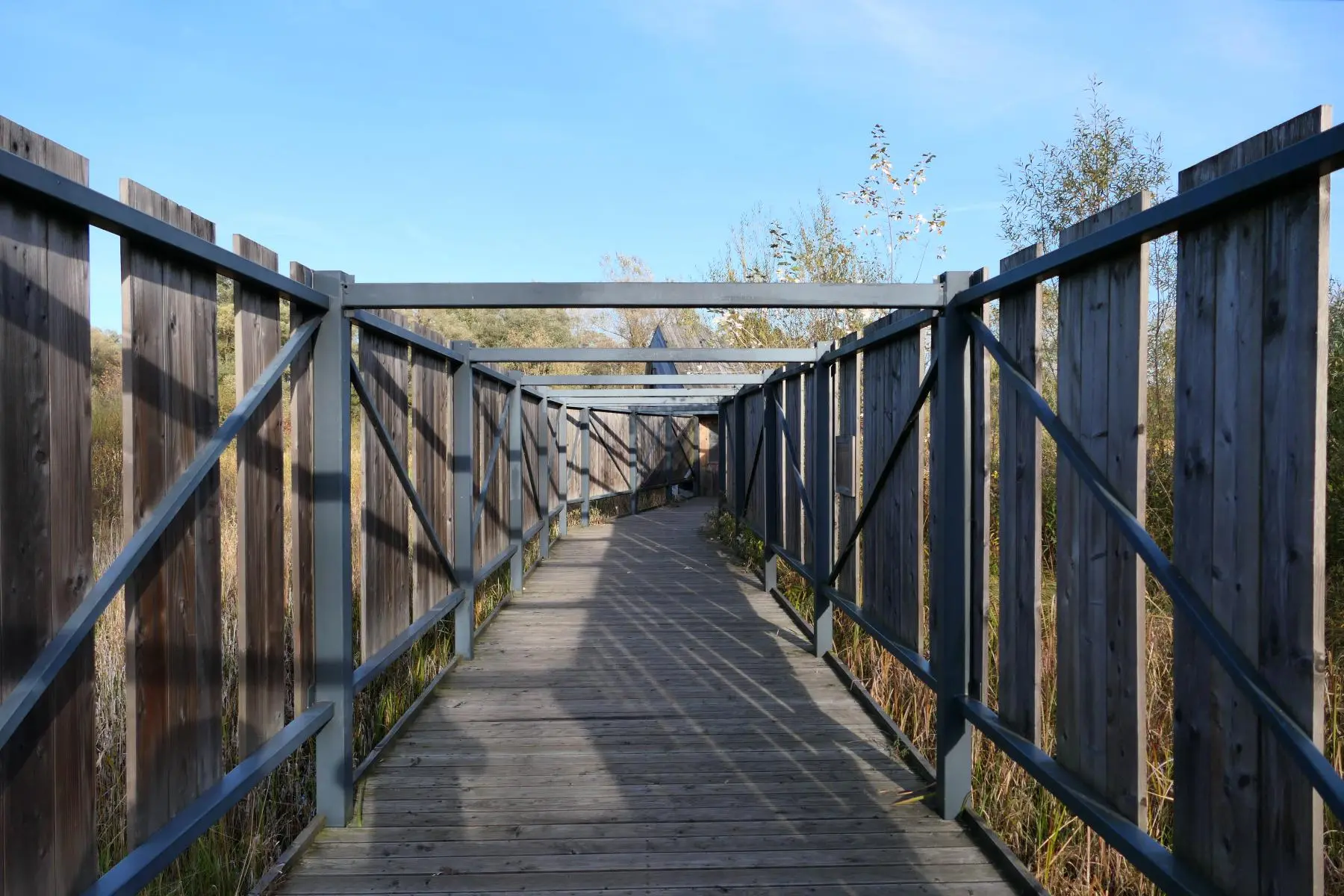 Enklawa Przyrodnicza Bobrowisko