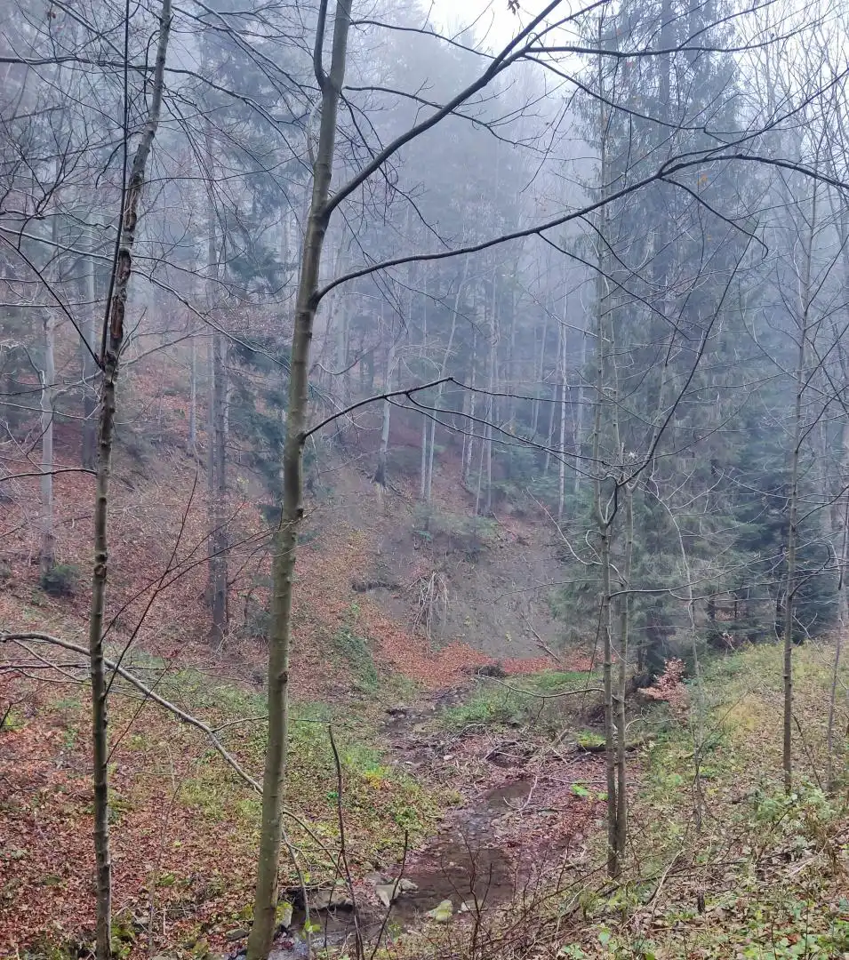 Park Krajobrazowy "Ostoja Głuszca" w Przysietnicy