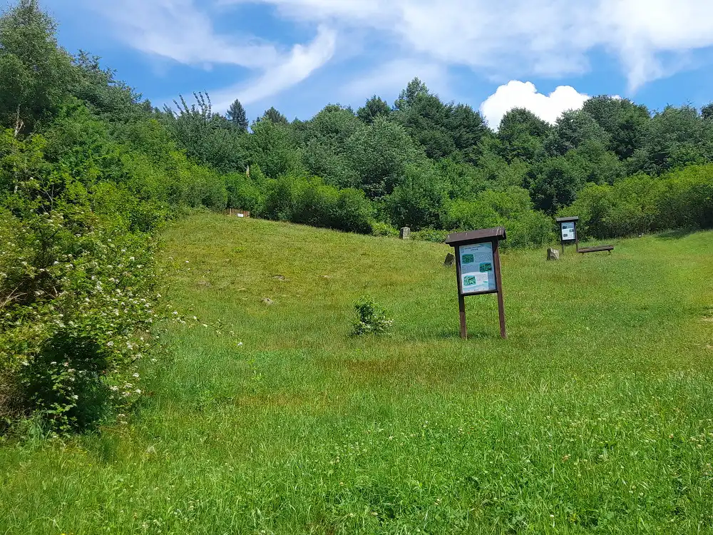 Park Św. Kingi w Głębokiem