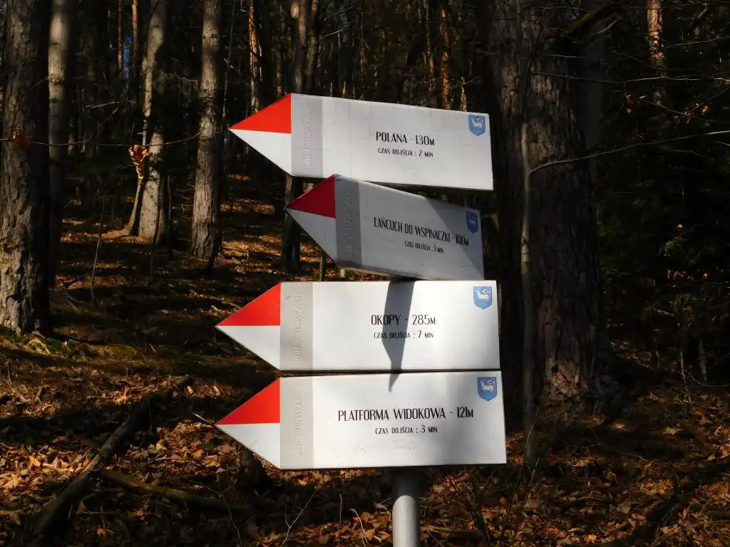 Park Węgielnik-Skałki w Piwnicznej-Zdrój