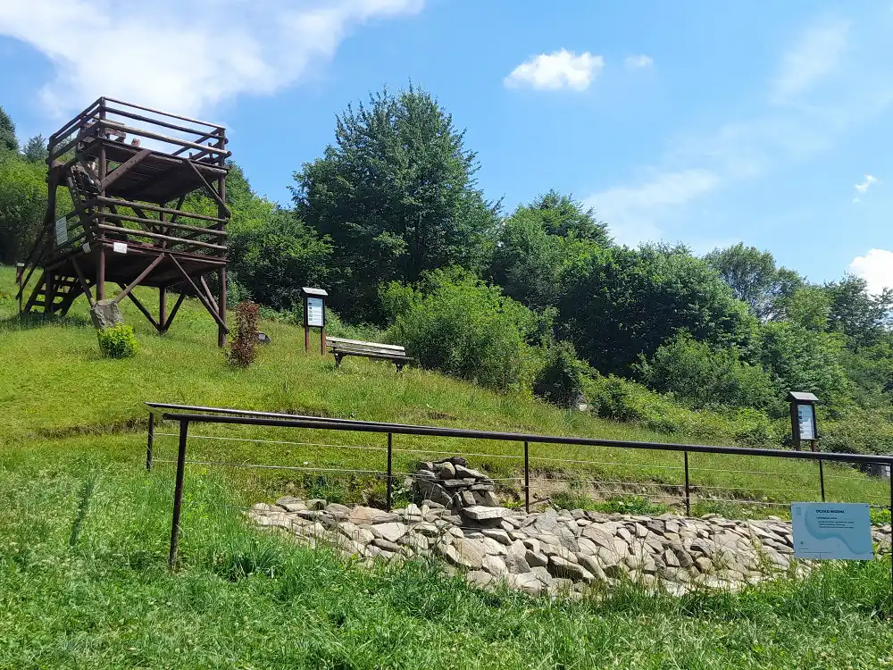 Park Św. Kingi w Głębokiem