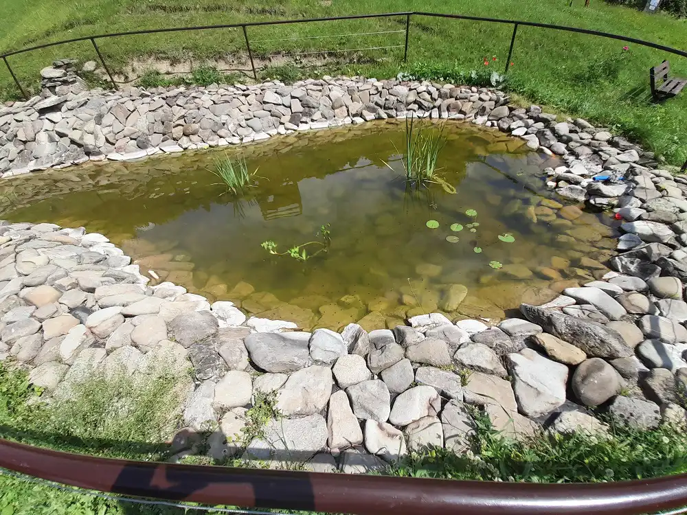 Park Św. Kingi w Głębokiem