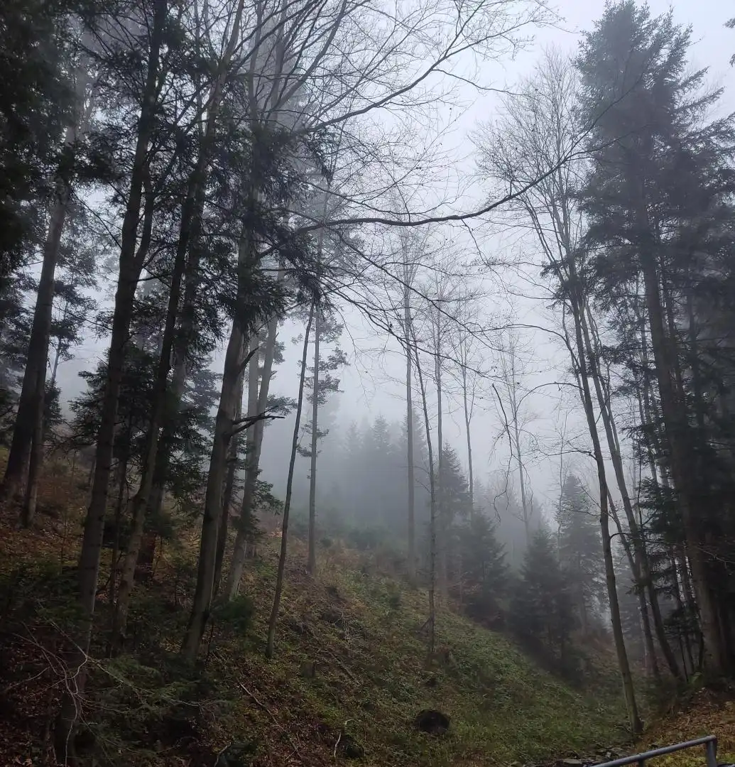 Park Krajobrazowy "Ostoja Głuszca" w Przysietnicy