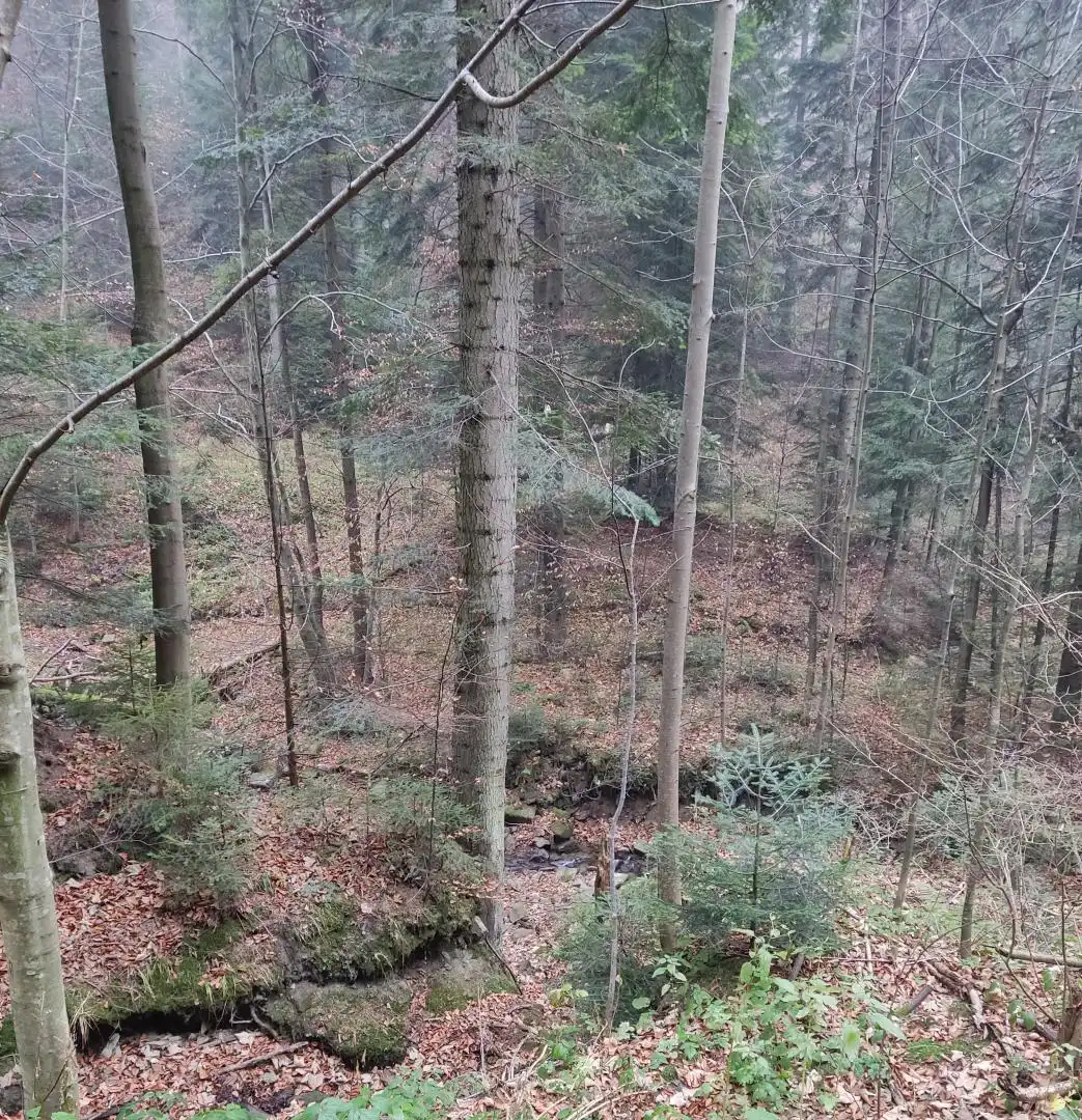 Park Krajobrazowy "Ostoja Głuszca" w Przysietnicy