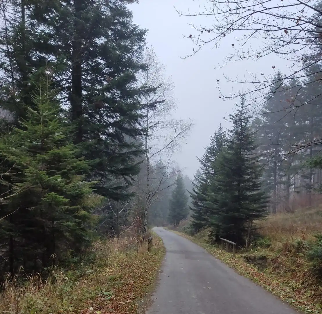 Park Krajobrazowy "Ostoja Głuszca" w Przysietnicy