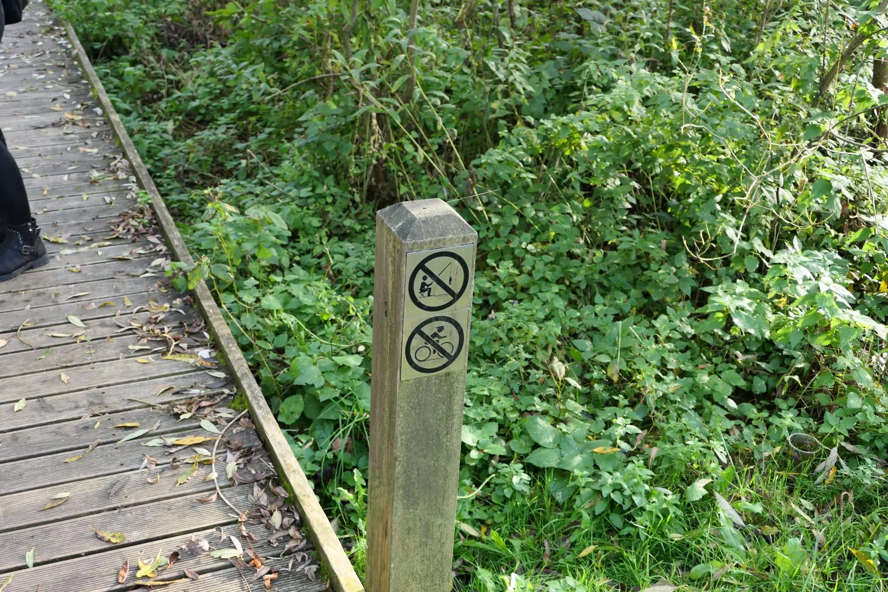 Enklawa Przyrodnicza Bobrowisko