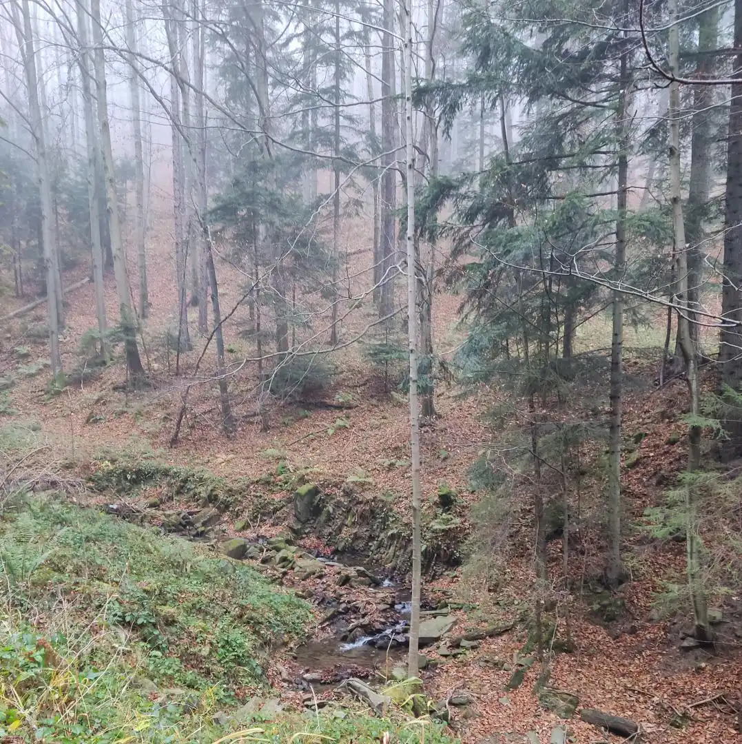 Park Krajobrazowy "Ostoja Głuszca" w Przysietnicy