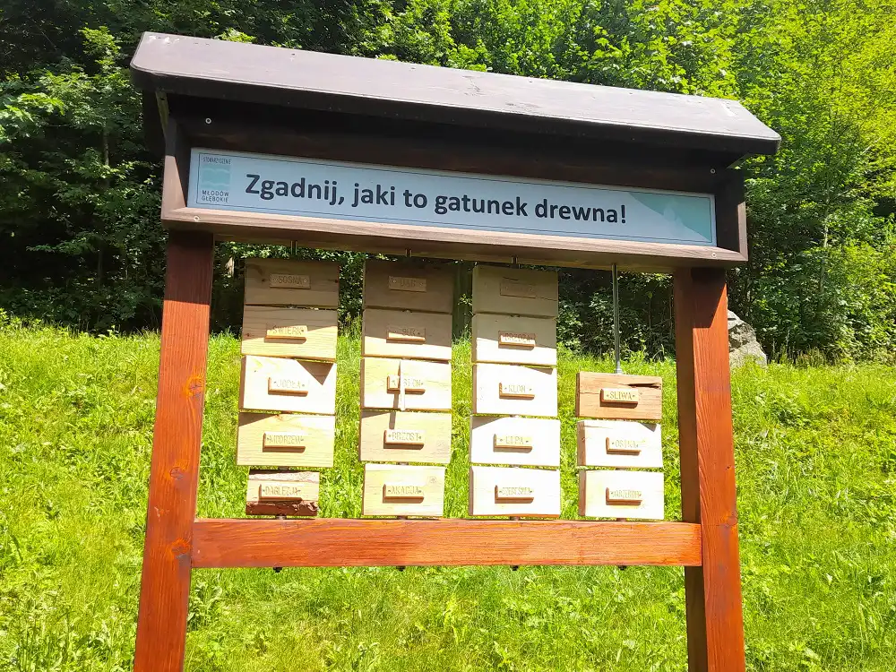 Park Św. Kingi w Głębokiem