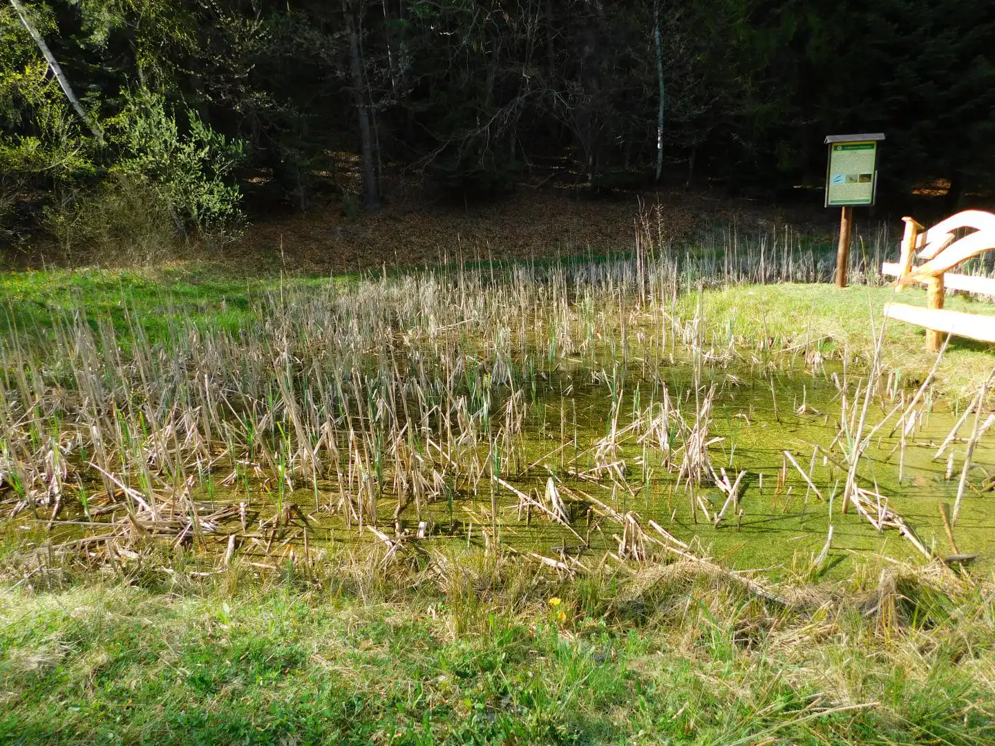Park Ekologiczny w Rytrze