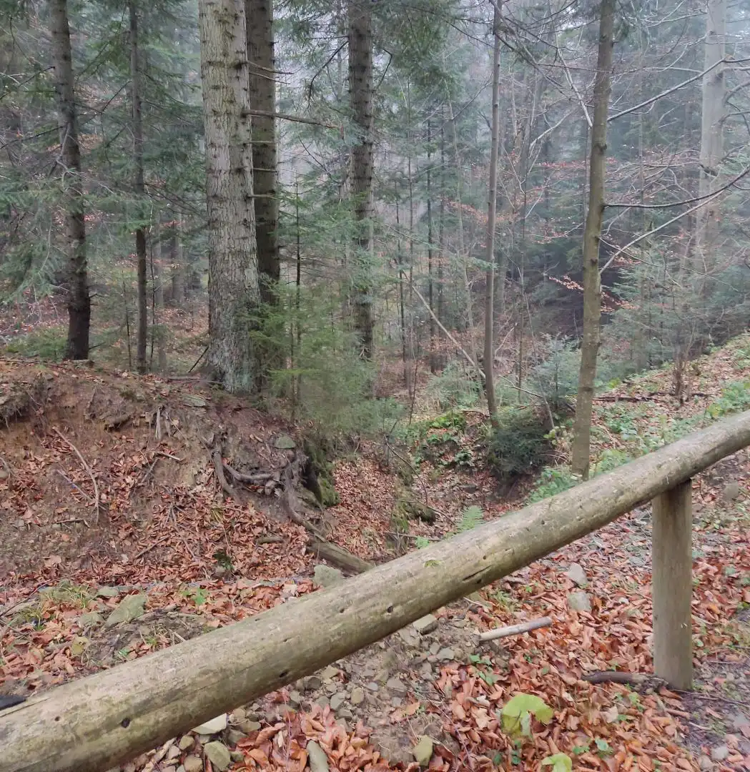 Park Krajobrazowy "Ostoja Głuszca" w Przysietnicy