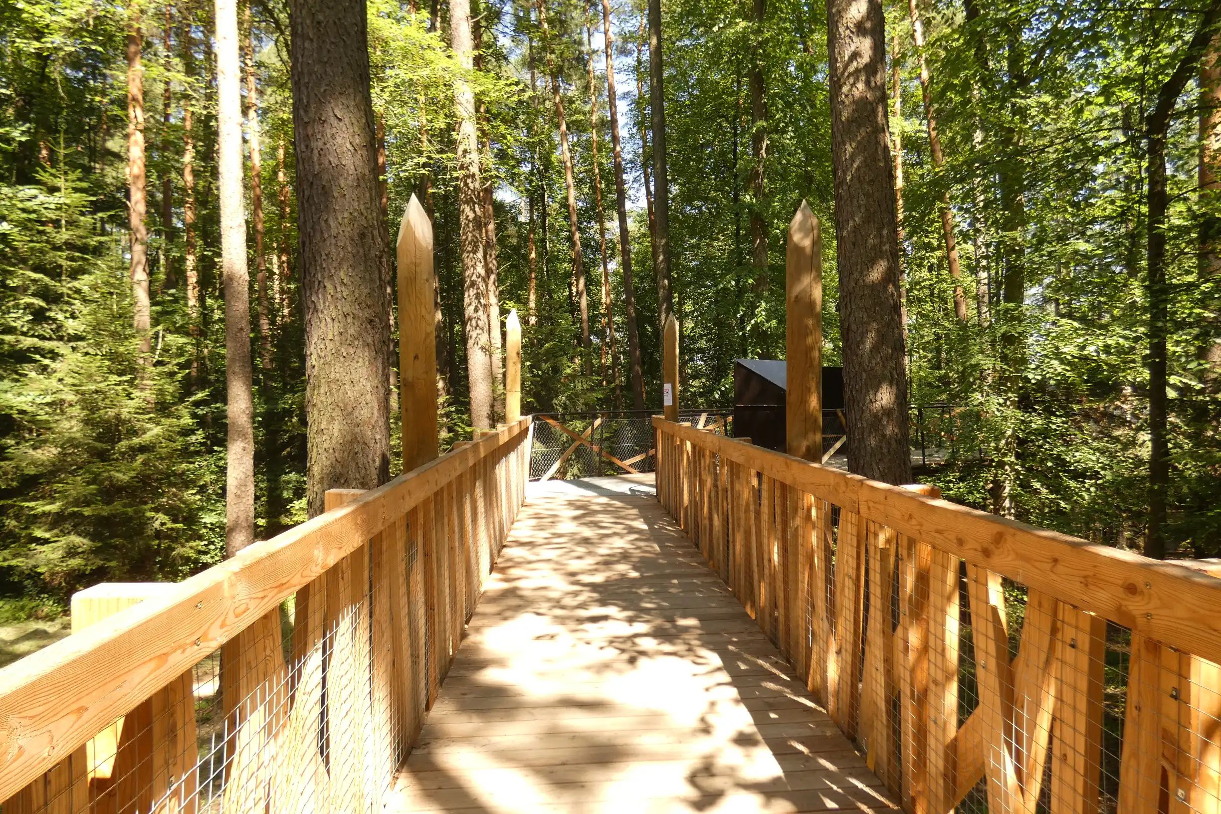 Góra Parkowa Stary Sącz