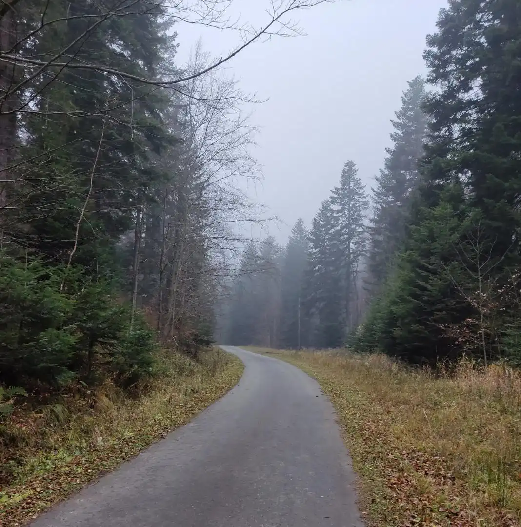 Park Krajobrazowy "Ostoja Głuszca" w Przysietnicy