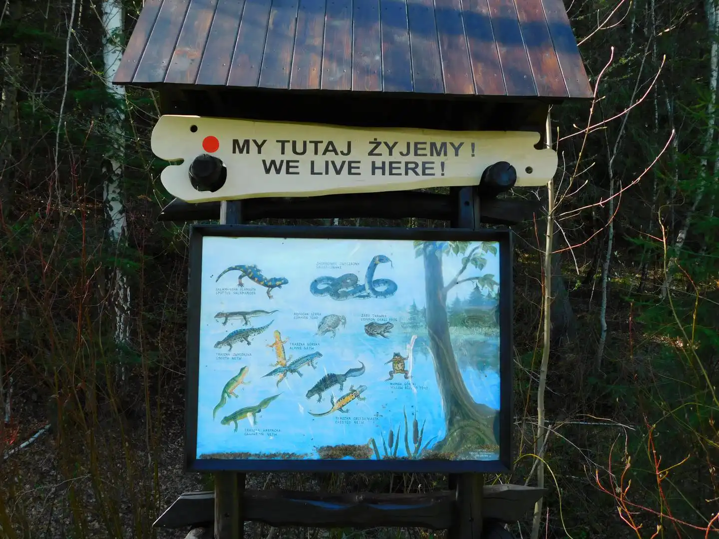 Park Ekologiczny w Rytrze