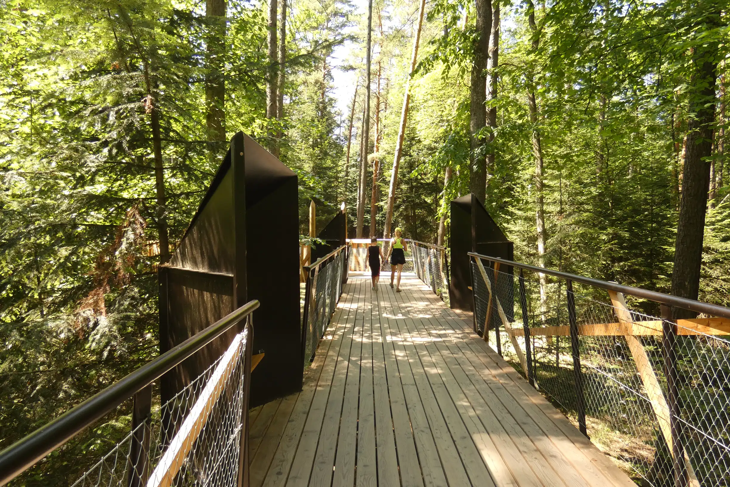 Góra Parkowa Stary Sącz