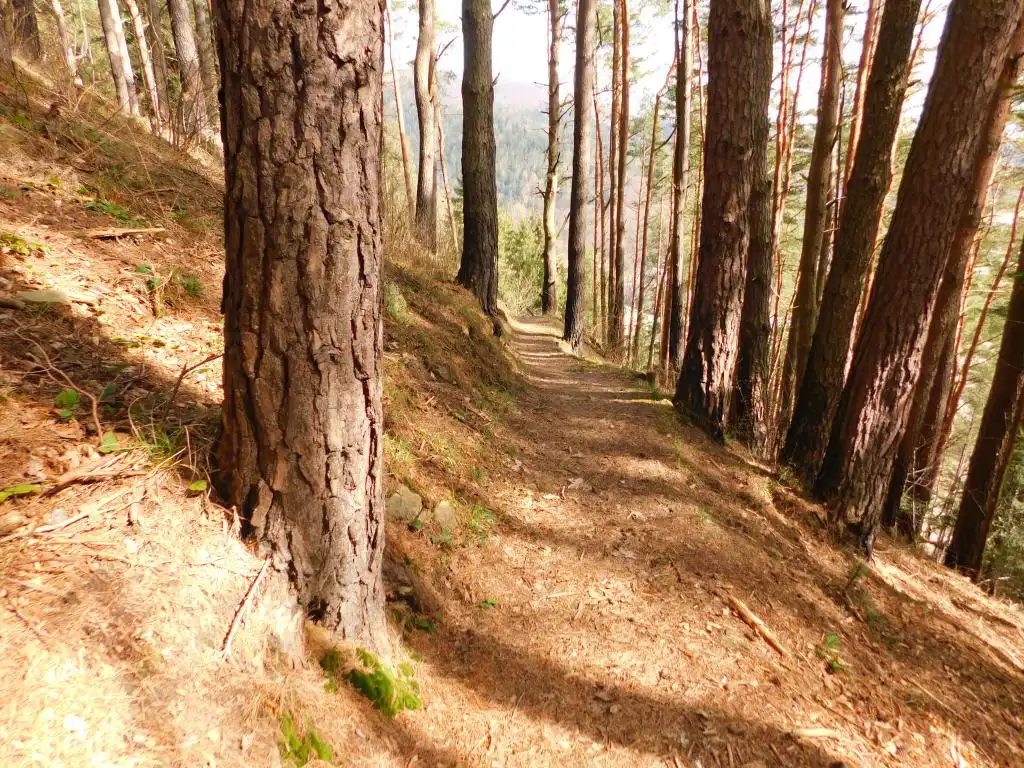 Park Węgielnik-Skałki w Piwnicznej-Zdrój