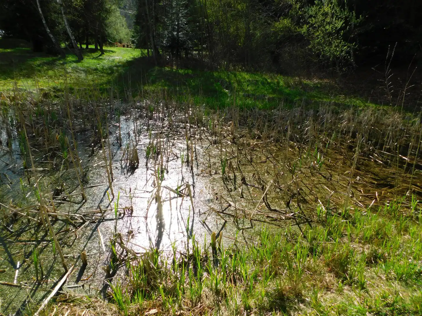 Park Ekologiczny w Rytrze