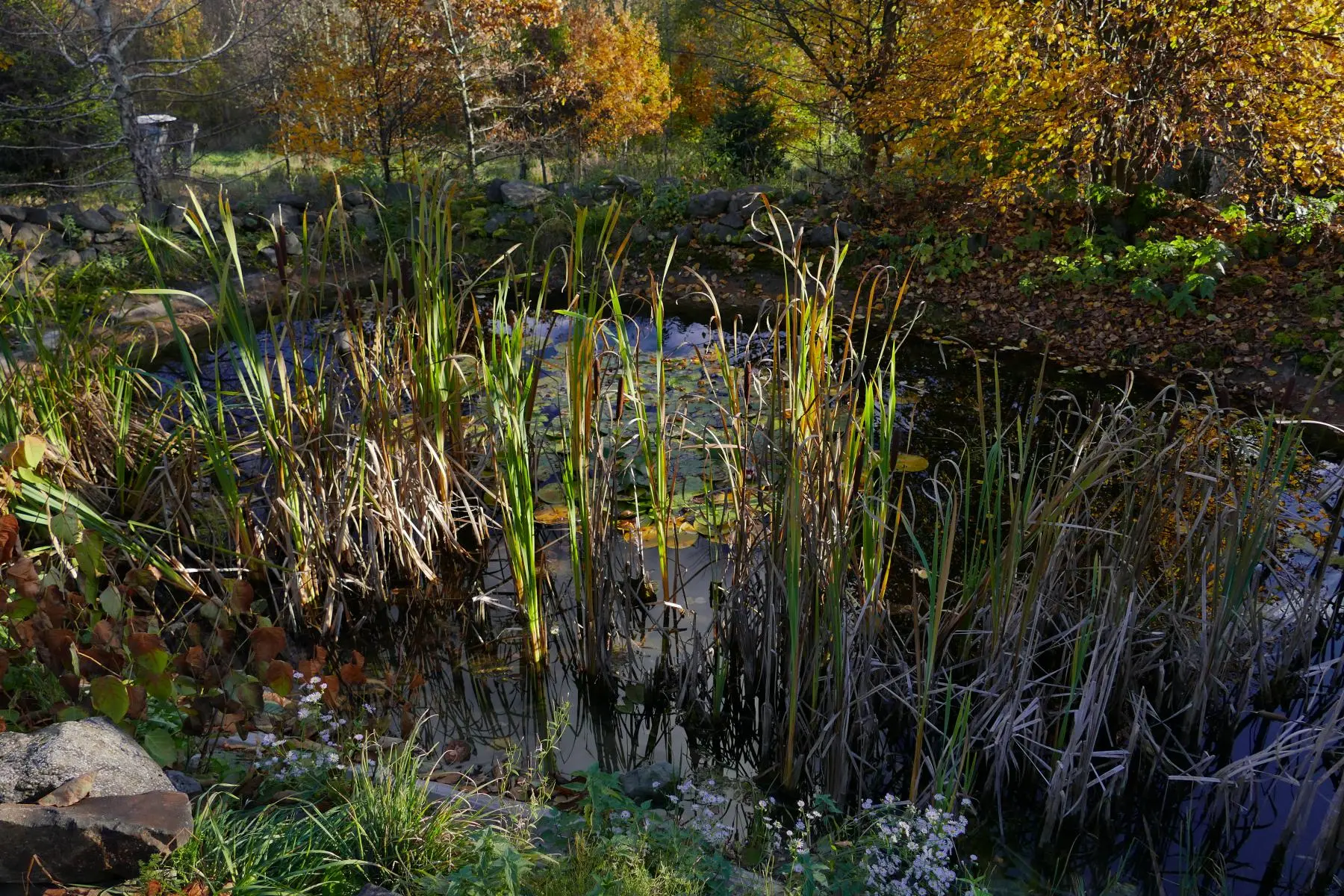 Polska Golgota w Tyliczu
