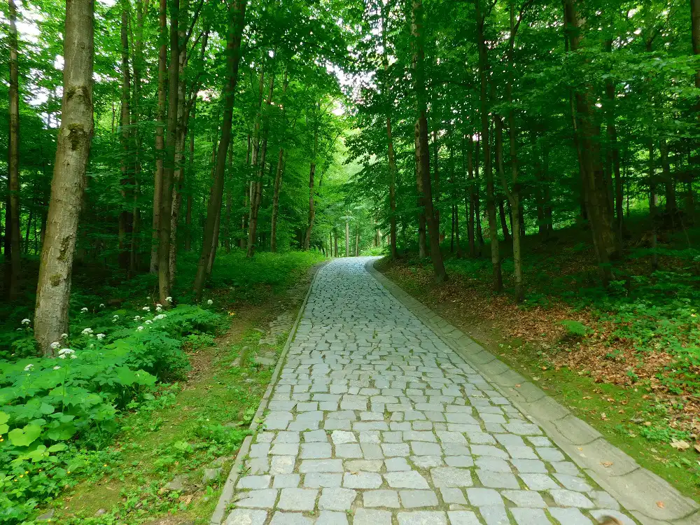 Góra Parkowa w Krynicy-Zdroju