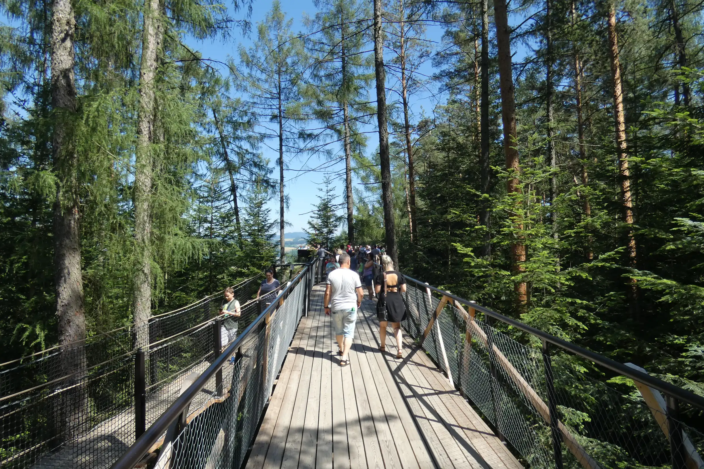 Góra Parkowa Stary Sącz