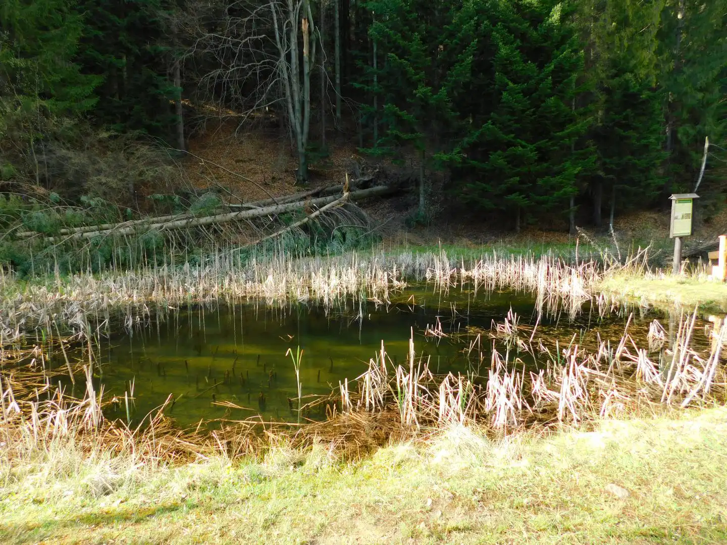 Park Ekologiczny w Rytrze