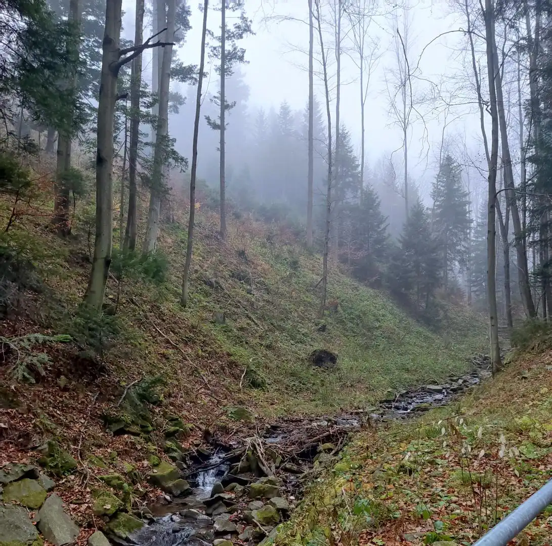 Park Krajobrazowy "Ostoja Głuszca" w Przysietnicy