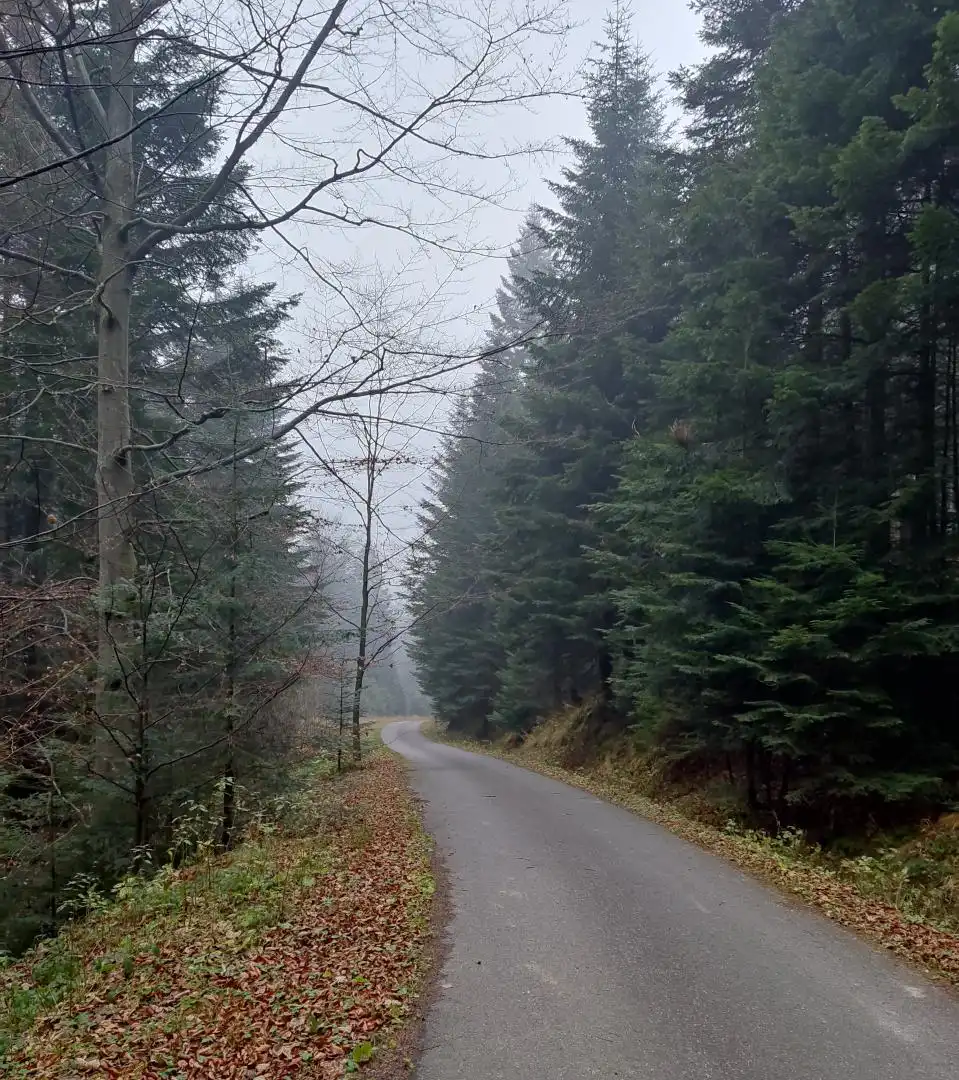 Park Krajobrazowy "Ostoja Głuszca" w Przysietnicy