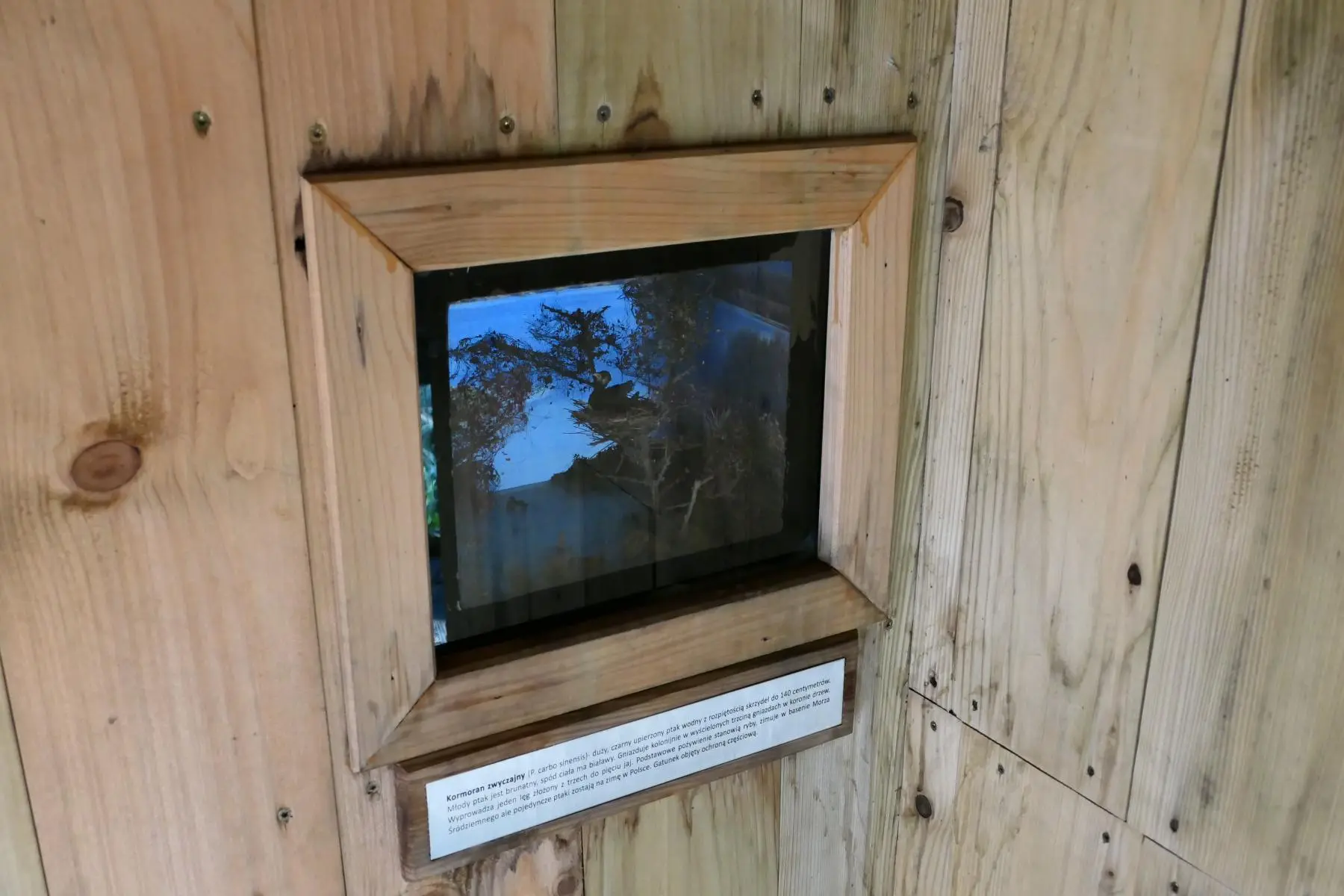 Enklawa Przyrodnicza Bobrowisko