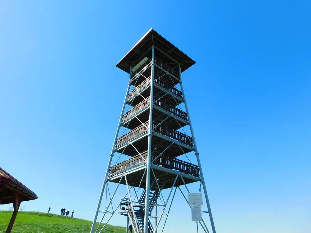 Wieża widokowa w Bruśniku