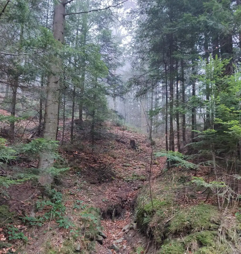 Park Krajobrazowy "Ostoja Głuszca" w Przysietnicy