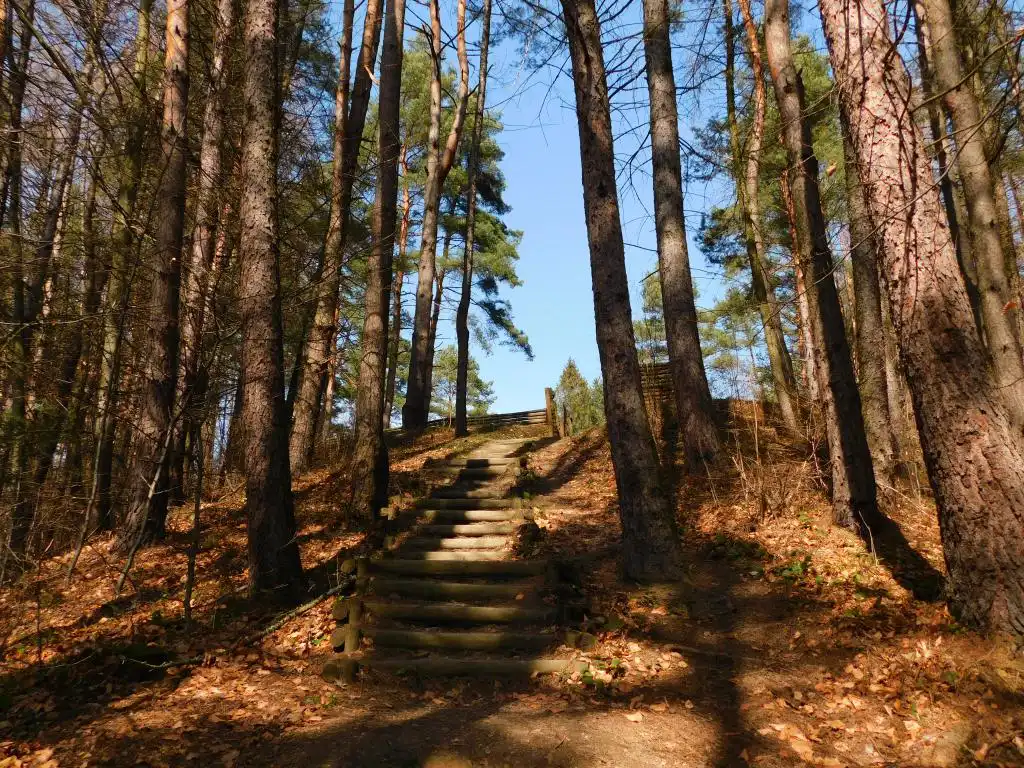 Park Węgielnik-Skałki w Piwnicznej-Zdrój