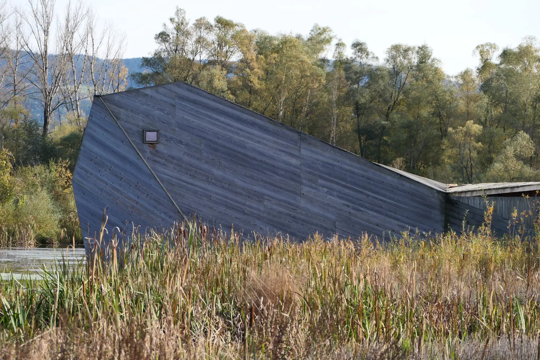 Enklawa Przyrodnicza Bobrowisko