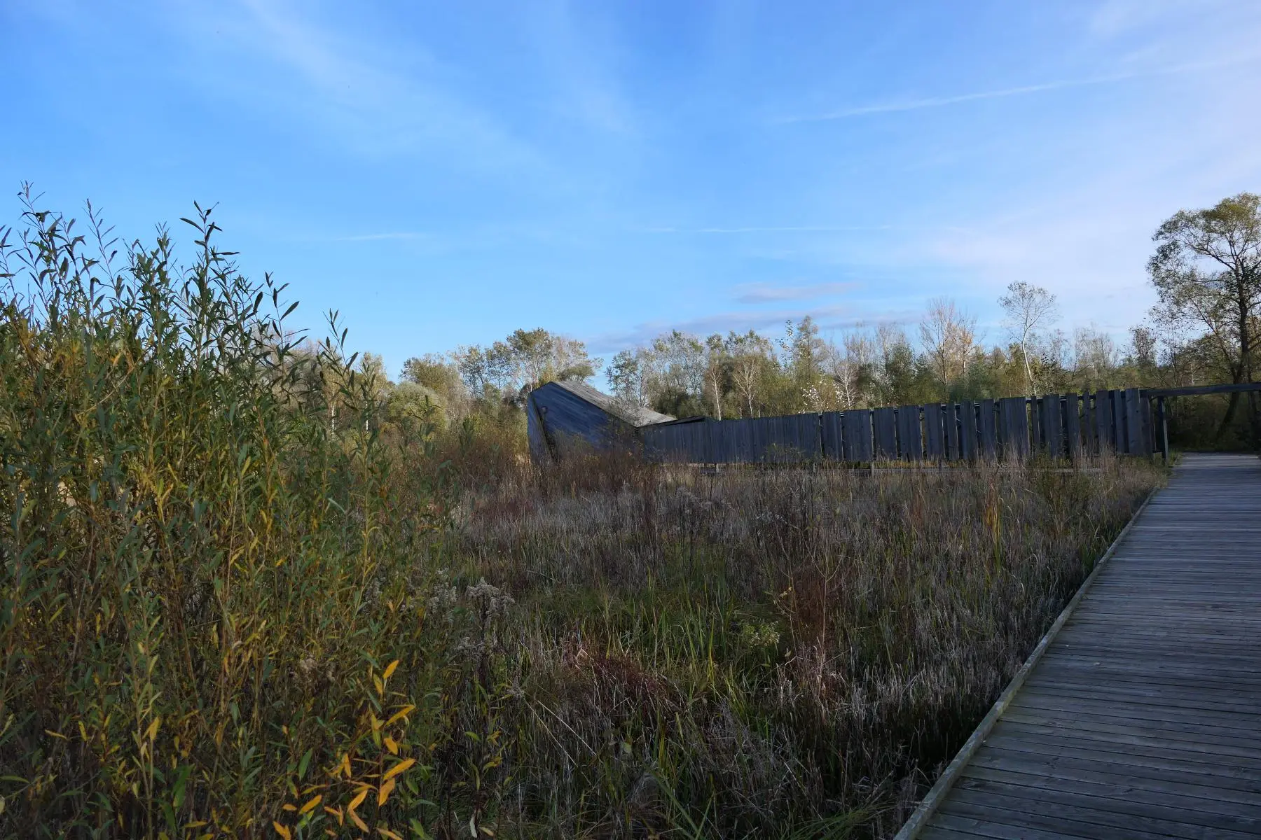 Enklawa Przyrodnicza Bobrowisko