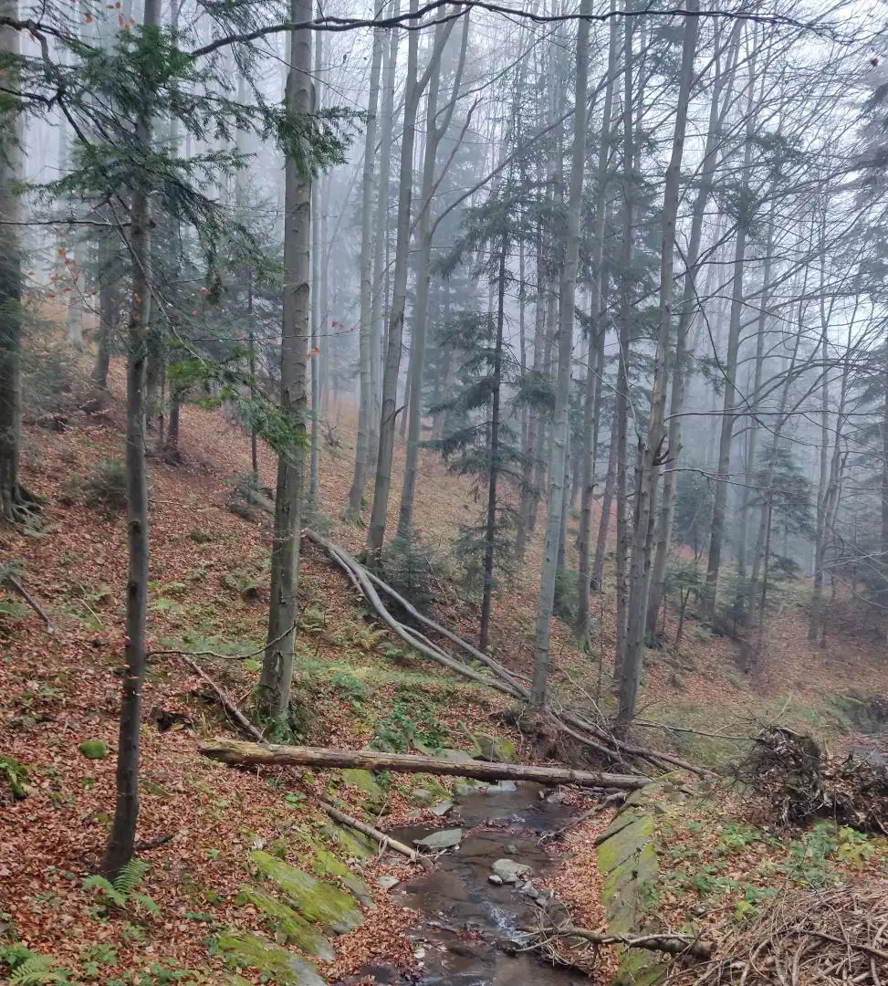 Park Krajobrazowy "Ostoja Głuszca" w Przysietnicy