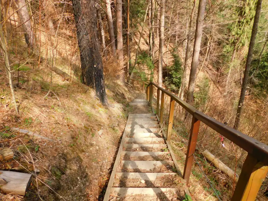 Park Węgielnik-Skałki w Piwnicznej-Zdrój