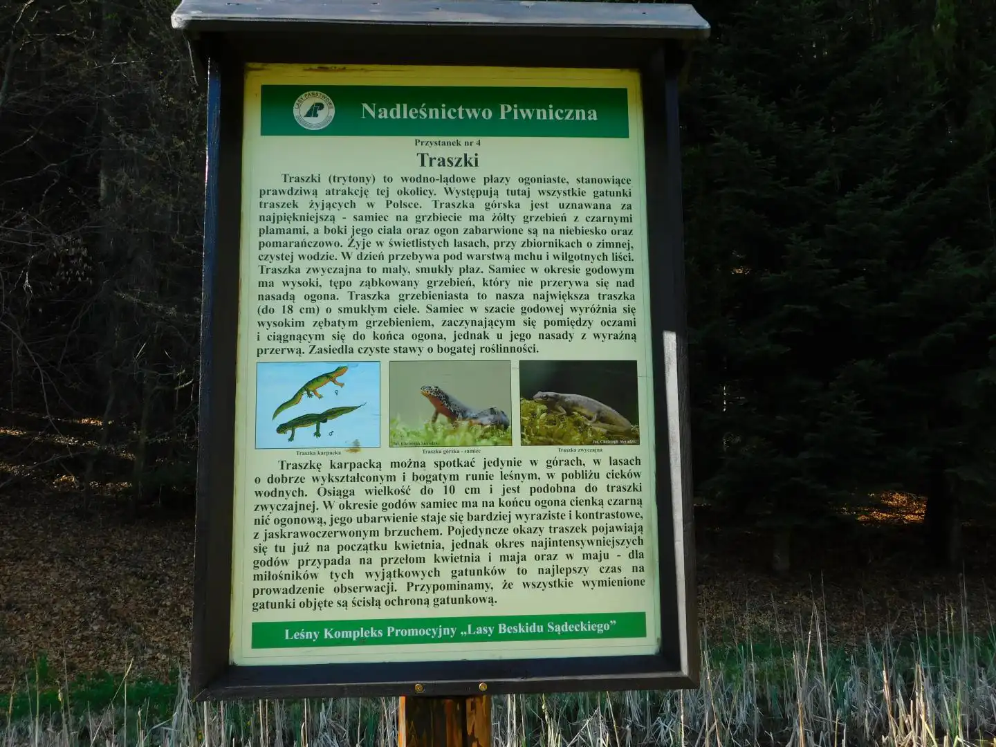 Park Ekologiczny w Rytrze