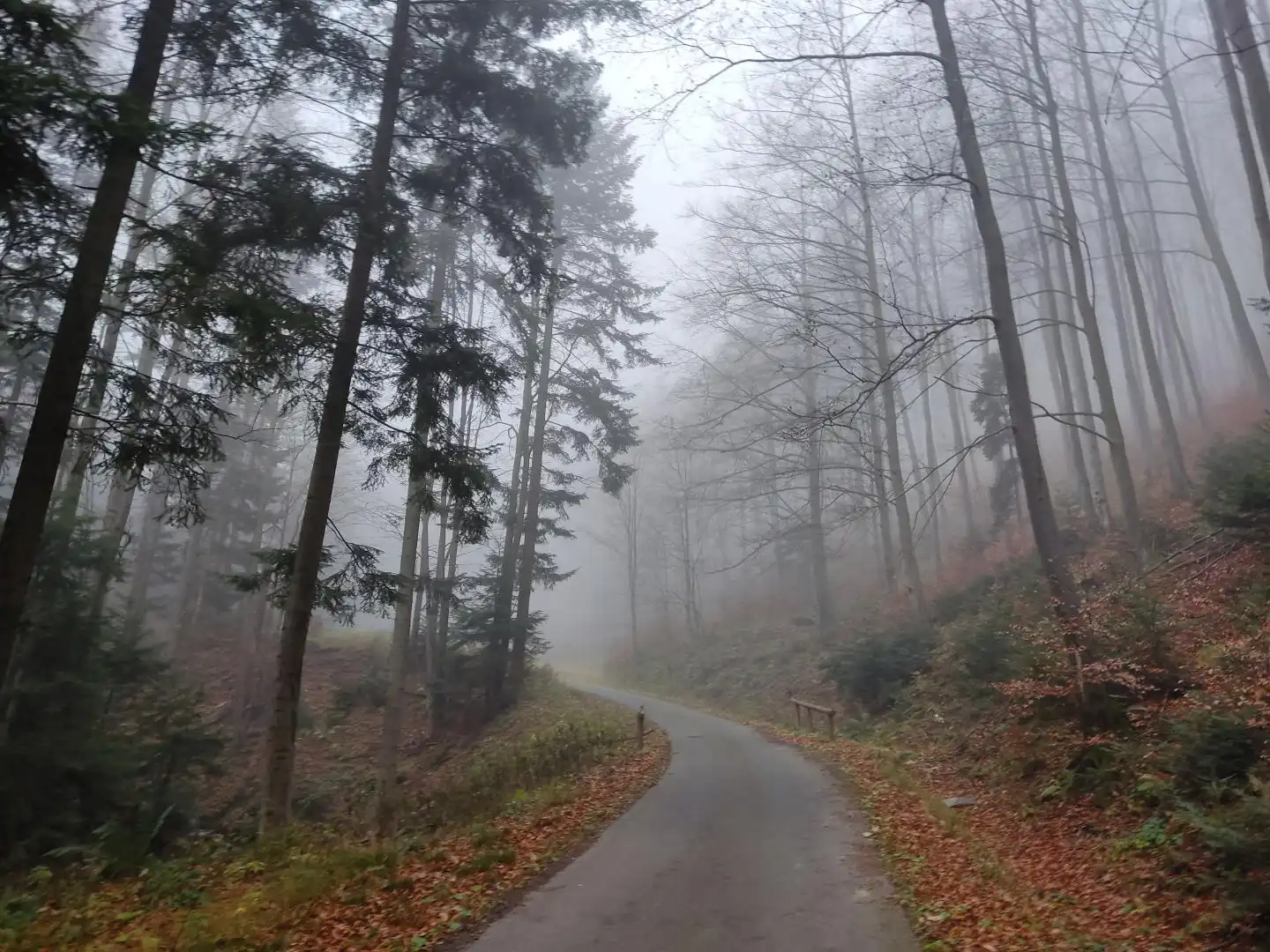 Park Krajobrazowy "Ostoja Głuszca" w Przysietnicy