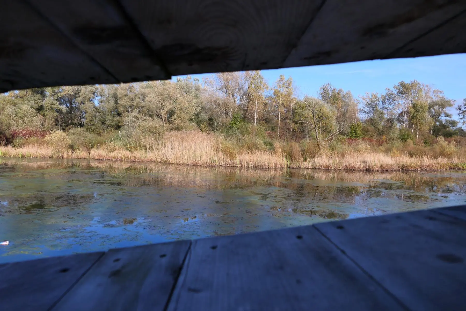 Enklawa Przyrodnicza Bobrowisko