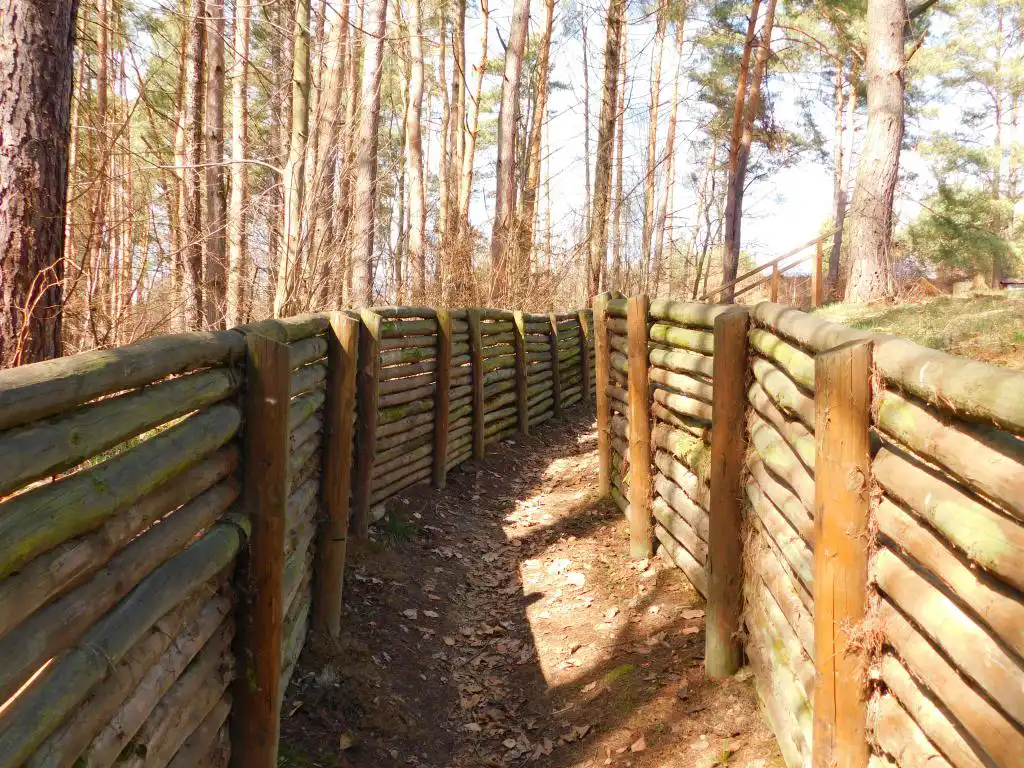 Park Węgielnik-Skałki w Piwnicznej-Zdrój