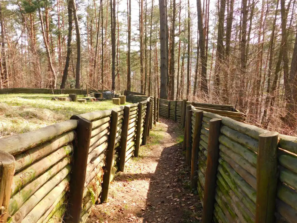 Park Węgielnik-Skałki w Piwnicznej-Zdrój