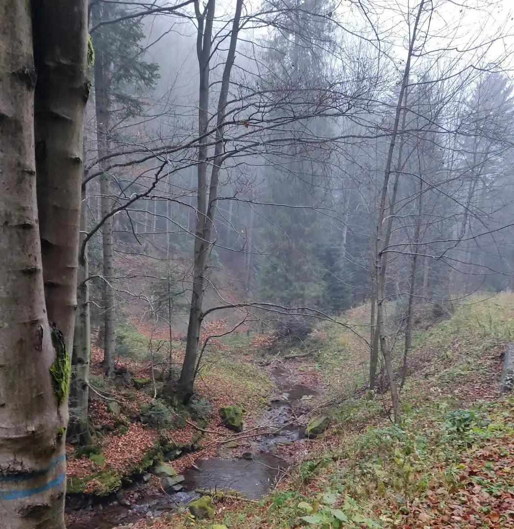 Park Krajobrazowy "Ostoja Głuszca" w Przysietnicy