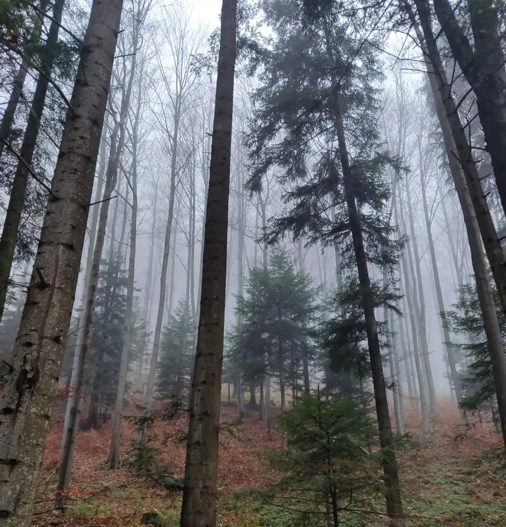 Park Krajobrazowy "Ostoja Głuszca" w Przysietnicy