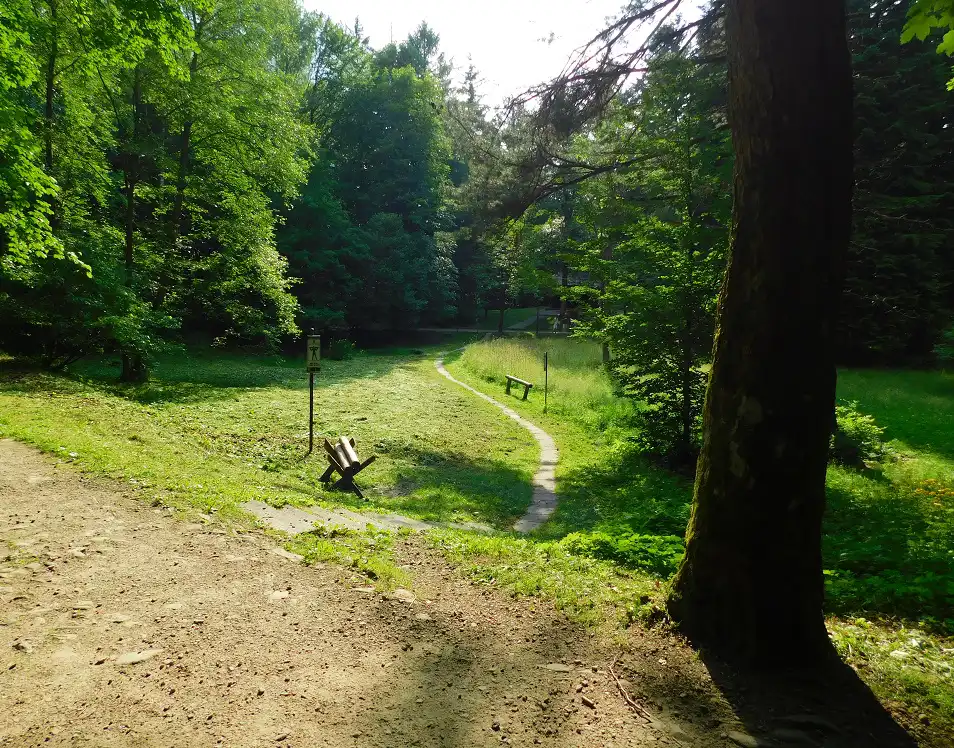 Góra Parkowa w Krynicy-Zdroju